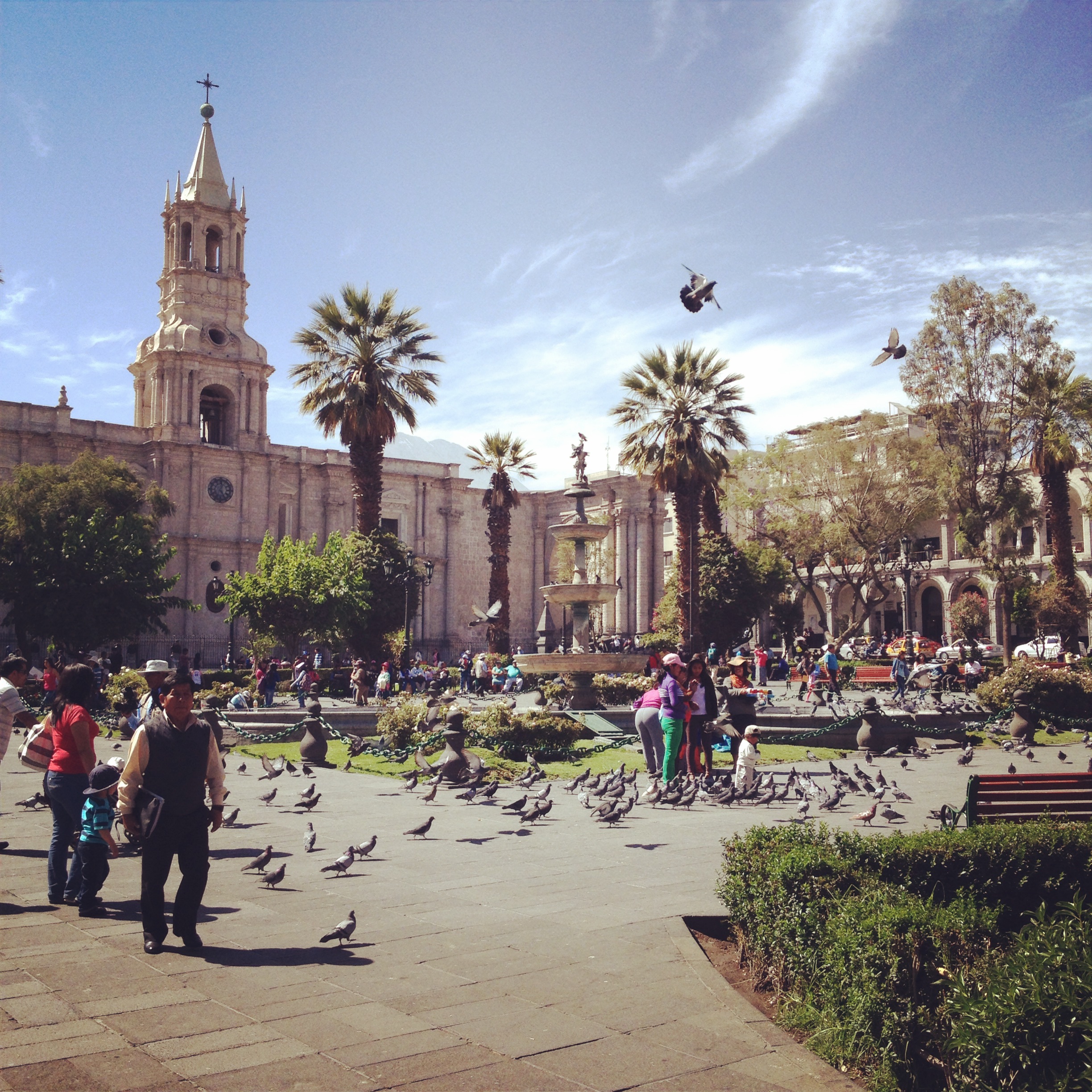 Episode n°2 – Arequipa-Lima : 16 heures sur la panaméricaine !